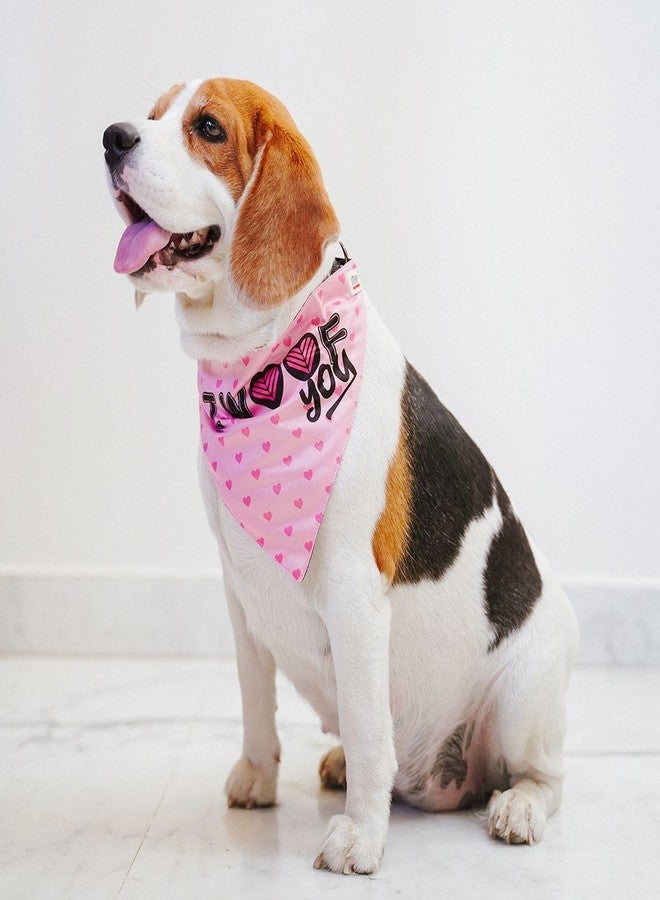 Zigly Lifestyle I Woof You Dog Bandana | Bandana for Dog Accessories and Gifts - S - Image 2